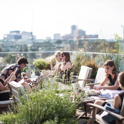 Roof top garden